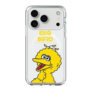 Sesame Street iPhone Case / Android Phone Case (SS83)